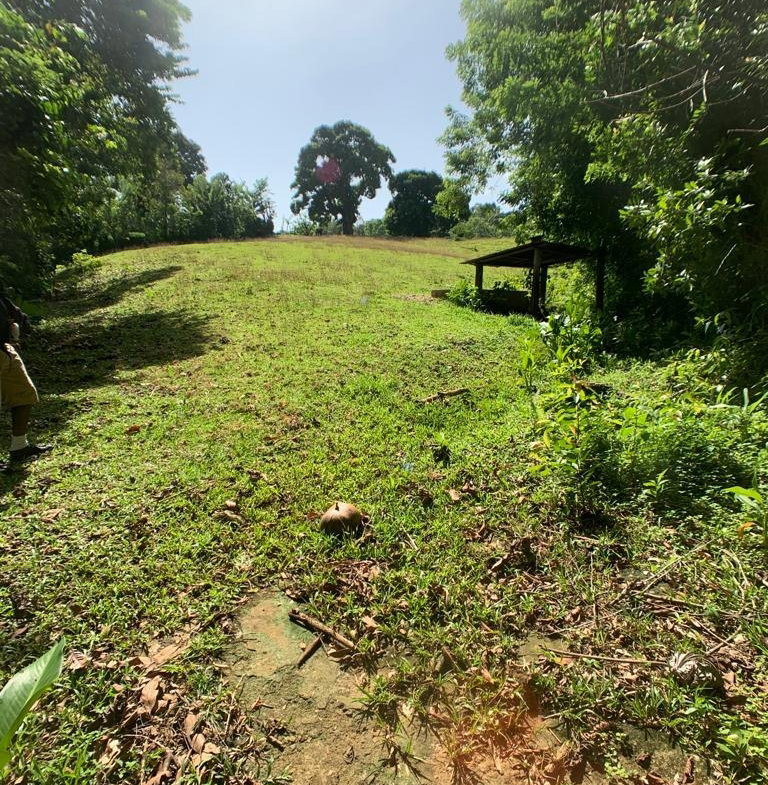 Third image of Hartford in Priestman's River, Portland, Jamaica - property is For Sale