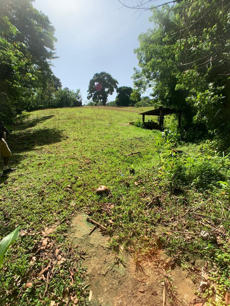 Third image of Hartford in Priestman's River, Portland, Jamaica - property is For Sale