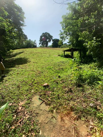 Third image of Hartford in Priestman's River, Portland, Jamaica - property is For Sale