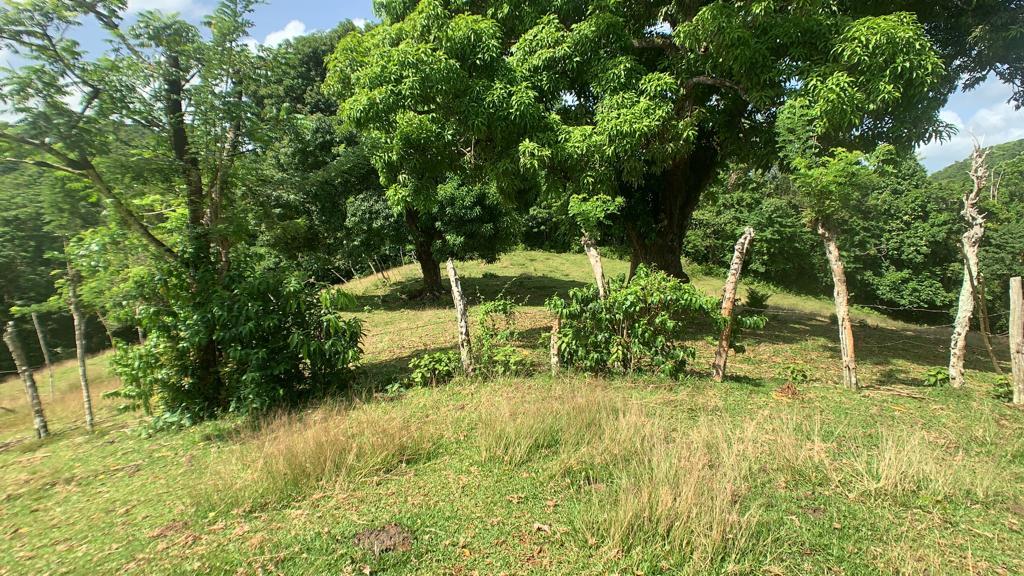 Fourth image of Hartford in Priestman's River, Portland, Jamaica - property is For Sale