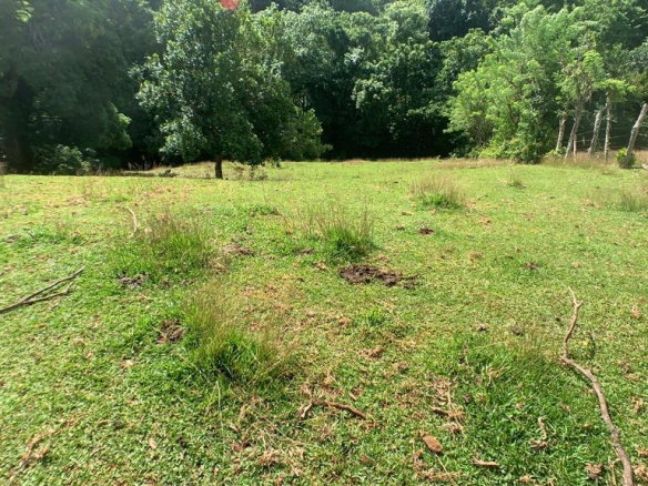 First image of Hartford in Priestman's River, Portland, Jamaica - property is For Sale