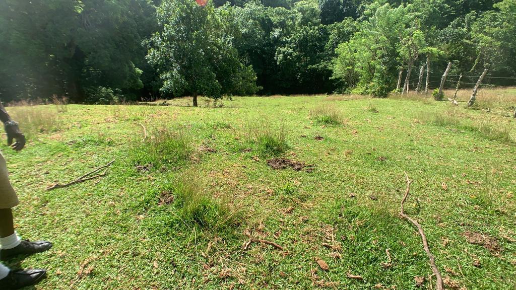 First image of Hartford in Priestman's River, Portland, Jamaica - property is For Sale