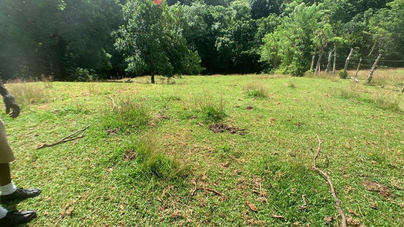 First image of Hartford in Priestman's River, Portland, Jamaica - property is For Sale