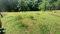 First image of Hartford in Priestman's River, Portland, Jamaica - property is For Sale