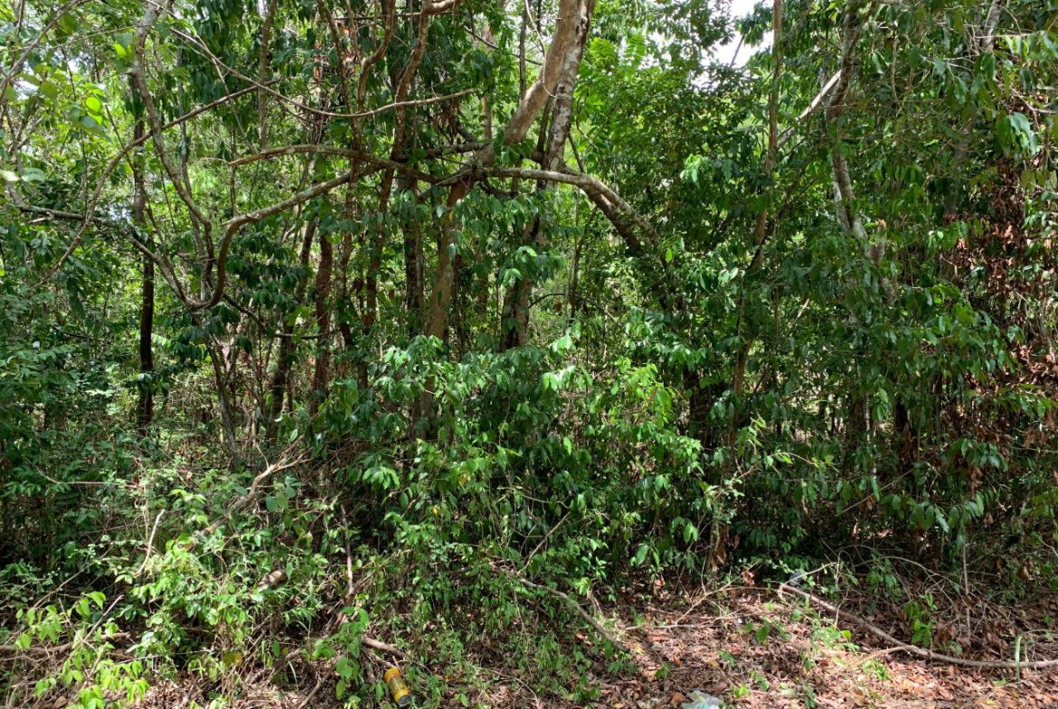 First image of 100 Black Garden, Garredu in Perth Town, Trelawny, Jamaica - property is For Sale