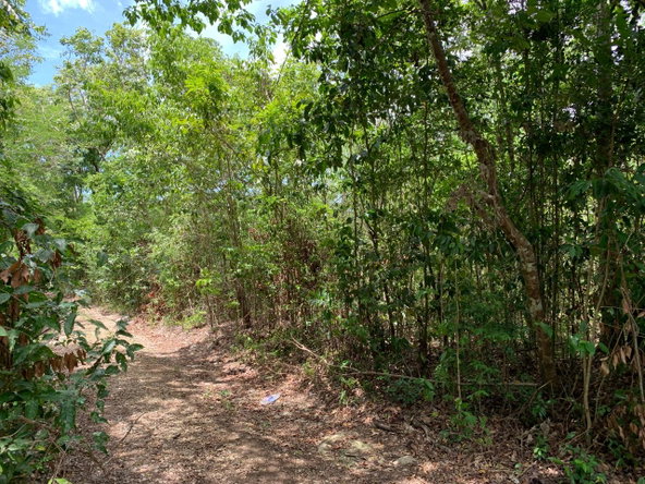 Third image of 100 Black Garden, Garredu in Perth Town, Trelawny, Jamaica - property is For Sale