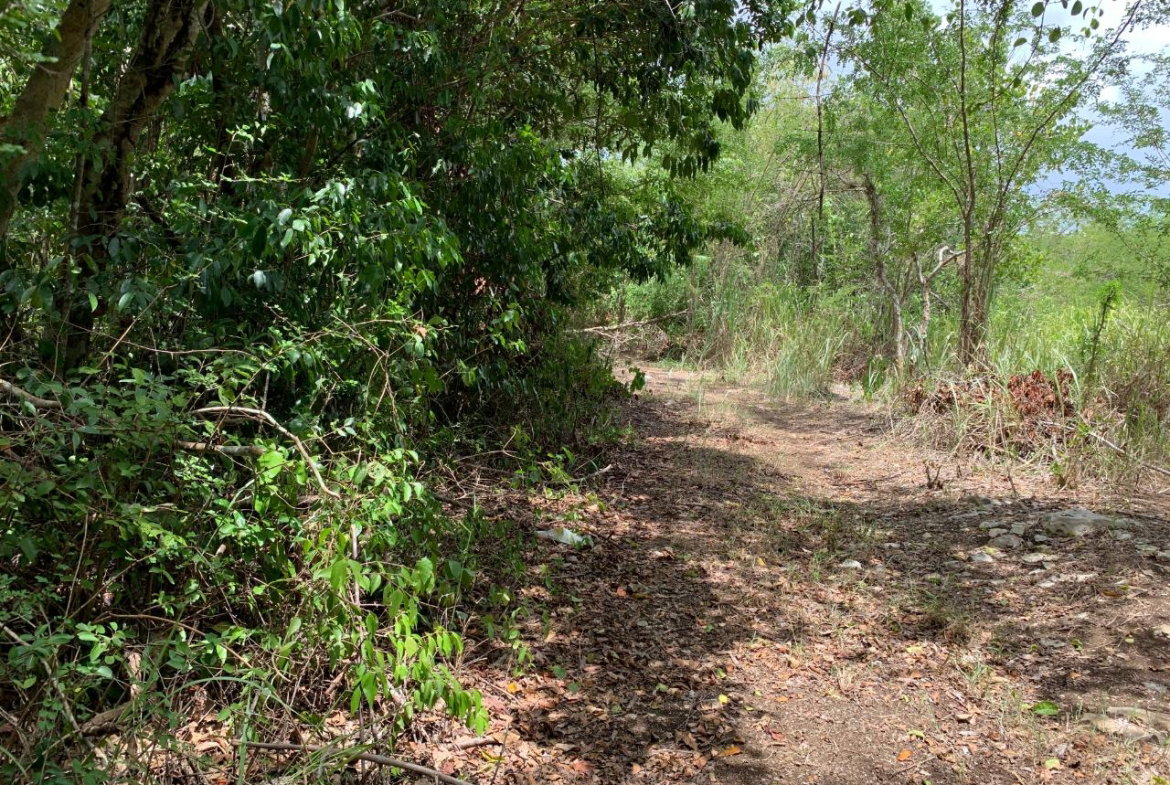 Seventh image of 100 Black Garden, Garredu in Perth Town, Trelawny, Jamaica - property is For Sale