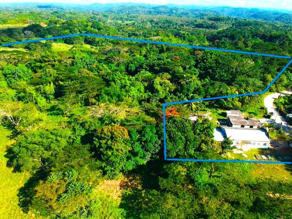 Eleventh image of Friendship in Wakefield, Trelawny, Jamaica - property is For Sale