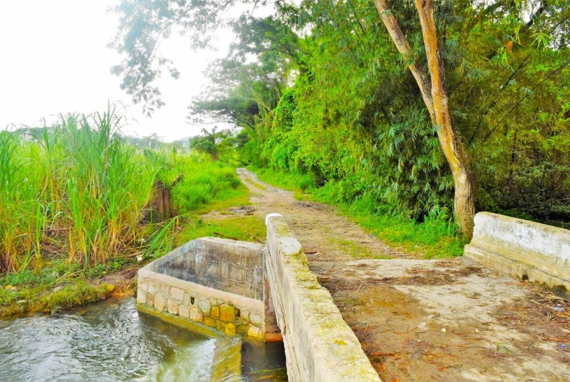 Twelfth image of Friendship in Wakefield, Trelawny, Jamaica - property is For Sale