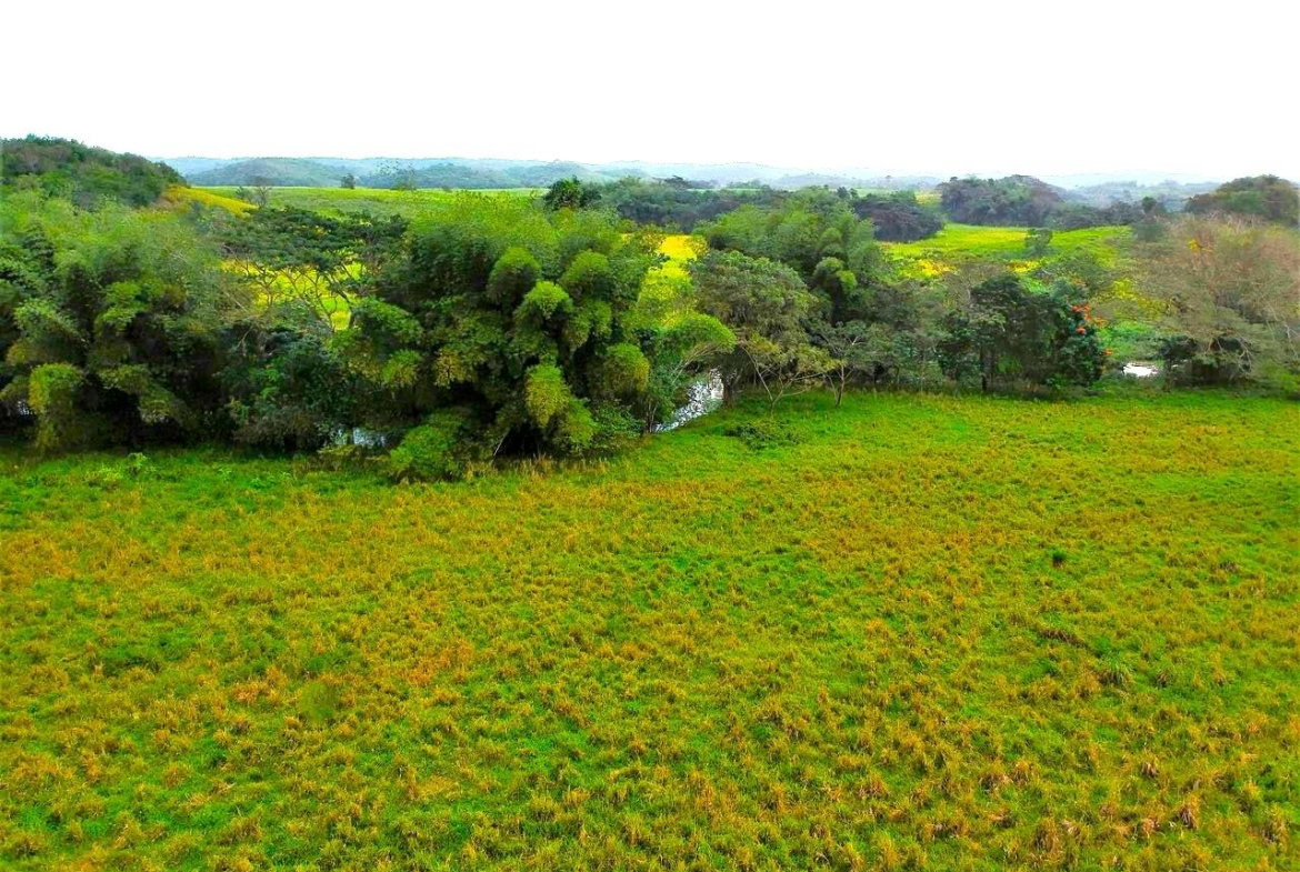 First image of Friendship in Wakefield, Trelawny, Jamaica - property is For Sale