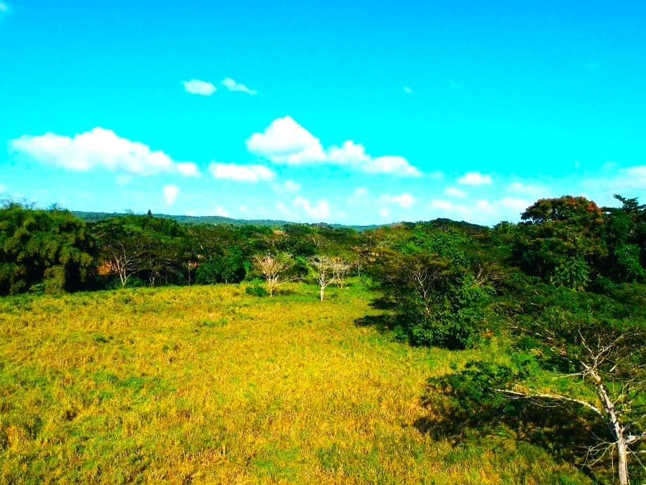 Thirteenth image of Friendship in Wakefield, Trelawny, Jamaica - property is For Sale