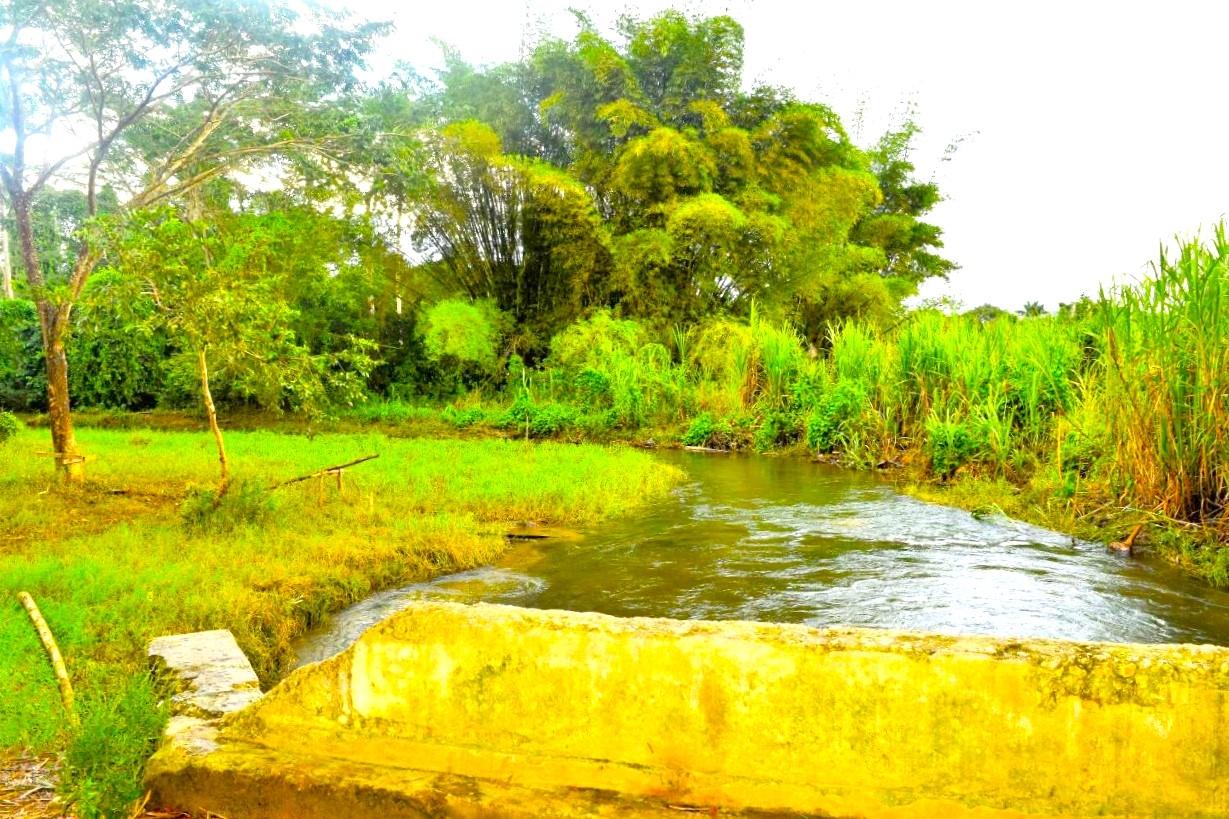 Fourteenth image of Friendship in Wakefield, Trelawny, Jamaica - property is For Sale