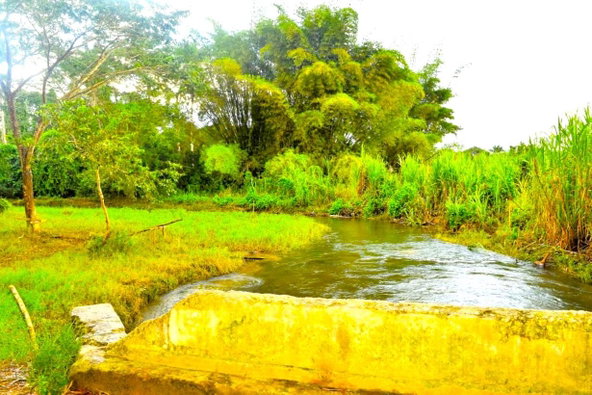 Fourteenth image of Friendship in Wakefield, Trelawny, Jamaica - property is For Sale