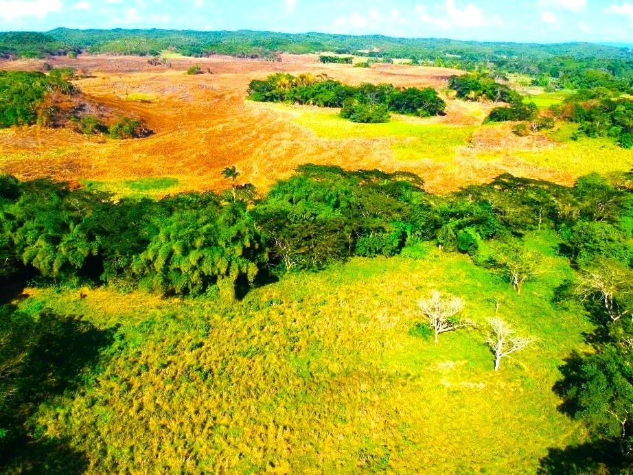 Fifteenth image of Friendship in Wakefield, Trelawny, Jamaica - property is For Sale