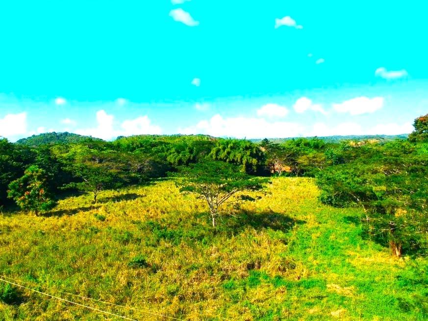 Sixteenth image of Friendship in Wakefield, Trelawny, Jamaica - property is For Sale