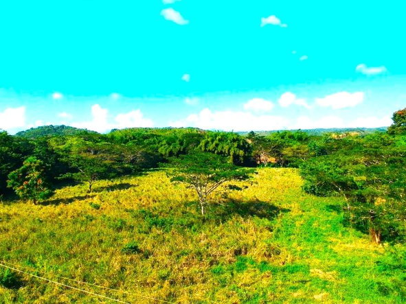 Sixteenth image of Friendship in Wakefield, Trelawny, Jamaica - property is For Sale