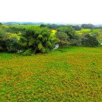 First image of Friendship in Wakefield, Trelawny, Jamaica - property is For Sale