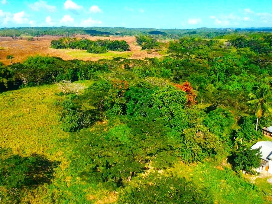 Eighteenth image of Friendship in Wakefield, Trelawny, Jamaica - property is For Sale