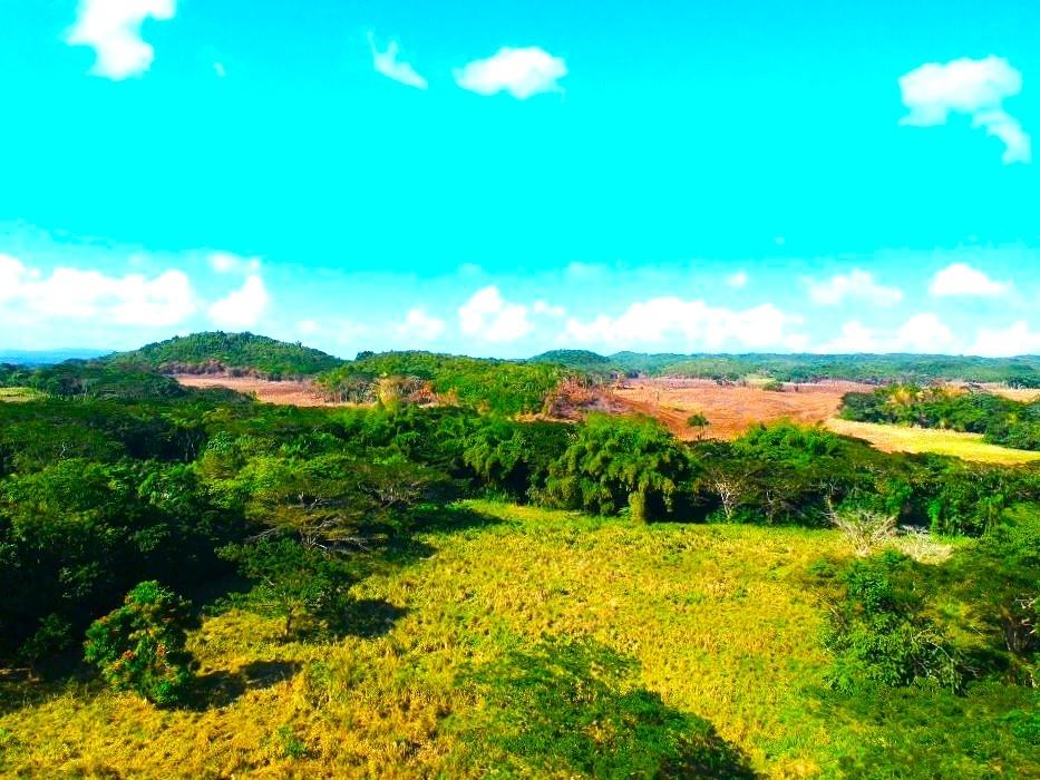 Nineteenth image of Friendship in Wakefield, Trelawny, Jamaica - property is For Sale