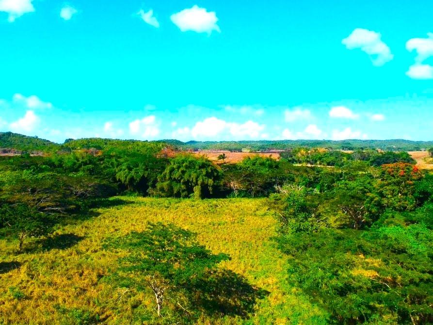 Twentieth image of Friendship in Wakefield, Trelawny, Jamaica - property is For Sale