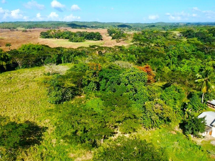 Twenty-First image of Friendship in Wakefield, Trelawny, Jamaica - property is For Sale