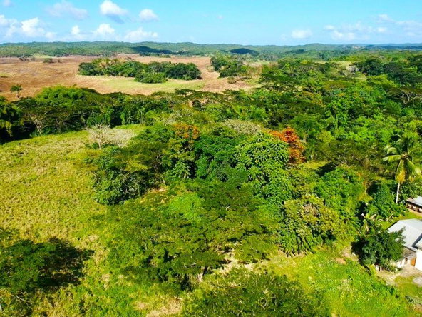 Twenty-First image of Friendship in Wakefield, Trelawny, Jamaica - property is For Sale