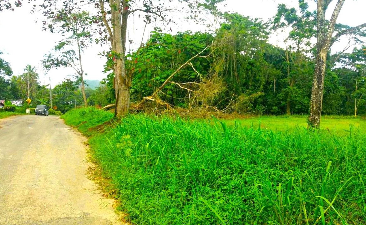 Twenty-Second image of Friendship in Wakefield, Trelawny, Jamaica - property is For Sale