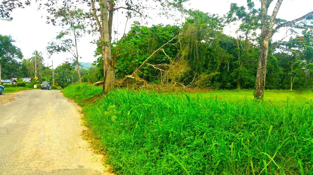 Twenty-Second image of Friendship in Wakefield, Trelawny, Jamaica - property is For Sale