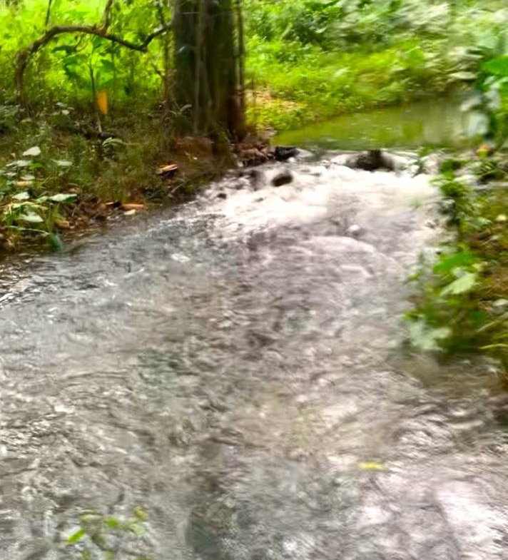 Sixth image of Friendship in Wakefield, Trelawny, Jamaica - property is For Sale