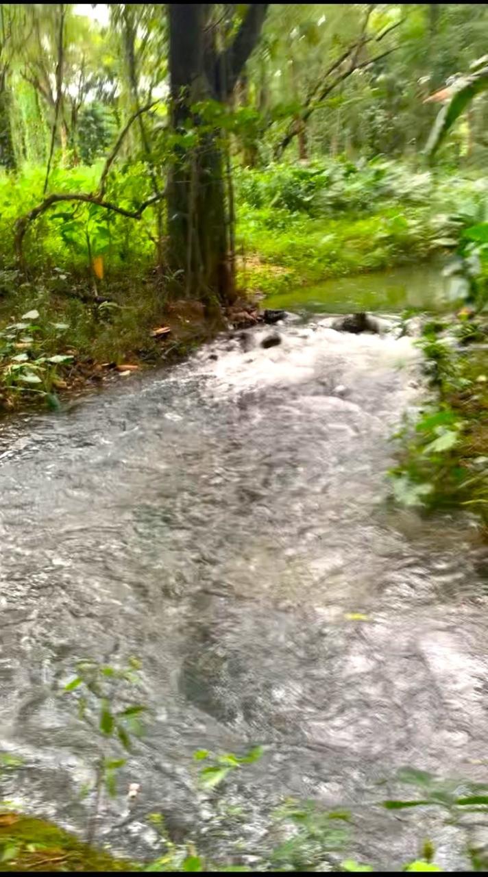 Sixth image of Friendship in Wakefield, Trelawny, Jamaica - property is For Sale