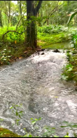 Sixth image of Friendship in Wakefield, Trelawny, Jamaica - property is For Sale