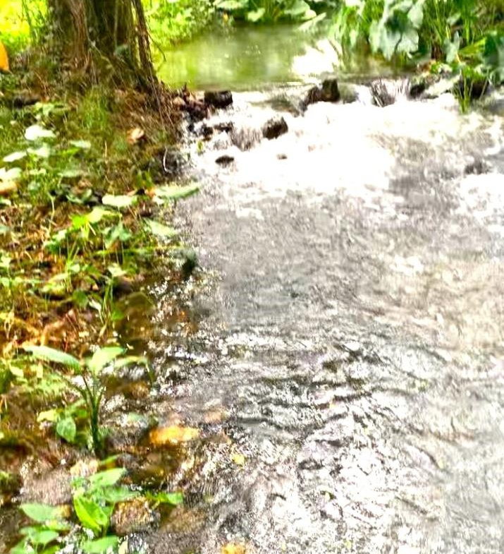 Eighth image of Friendship in Wakefield, Trelawny, Jamaica - property is For Sale