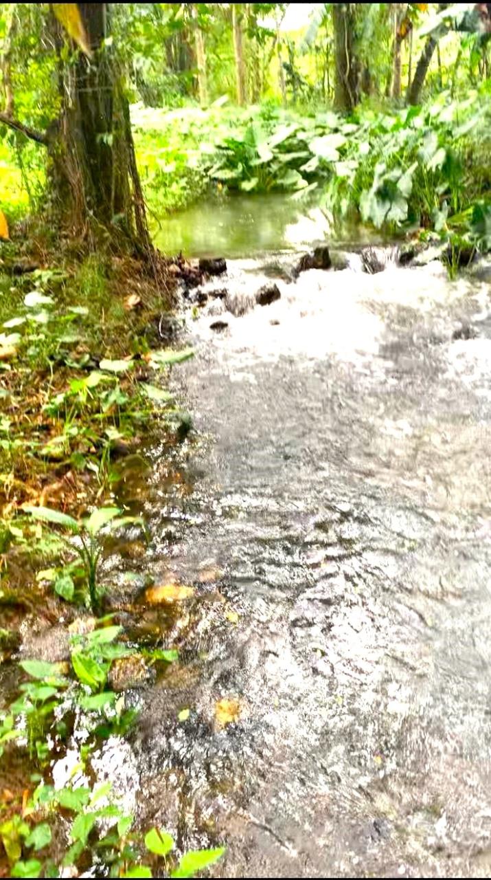 Eighth image of Friendship in Wakefield, Trelawny, Jamaica - property is For Sale