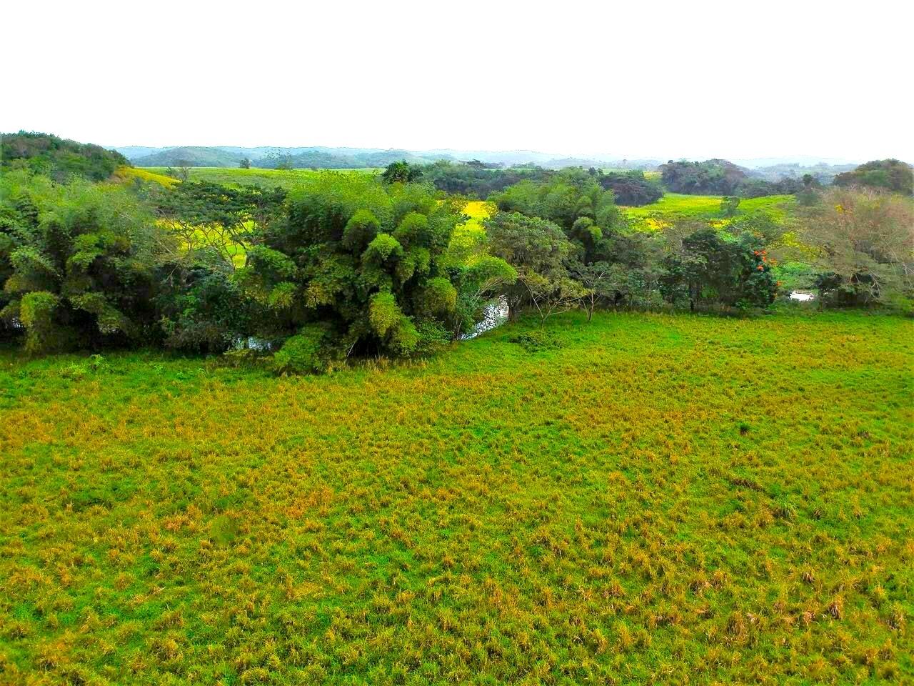 First image of Friendship in Wakefield, Trelawny, Jamaica - property is For Sale