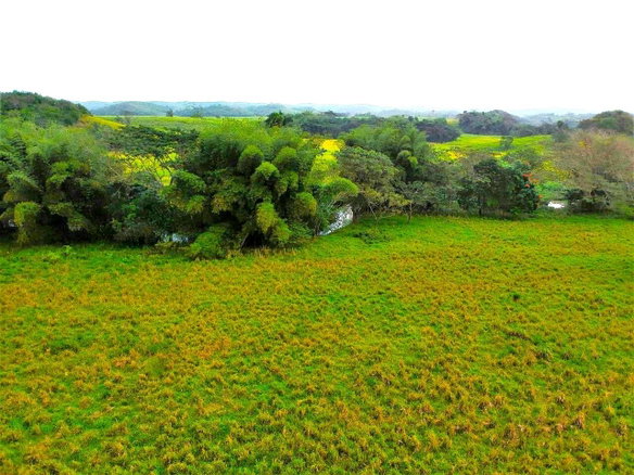 First image of Friendship in Wakefield, Trelawny, Jamaica - property is For Sale