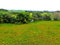 First image of Friendship in Wakefield, Trelawny, Jamaica - property is For Sale