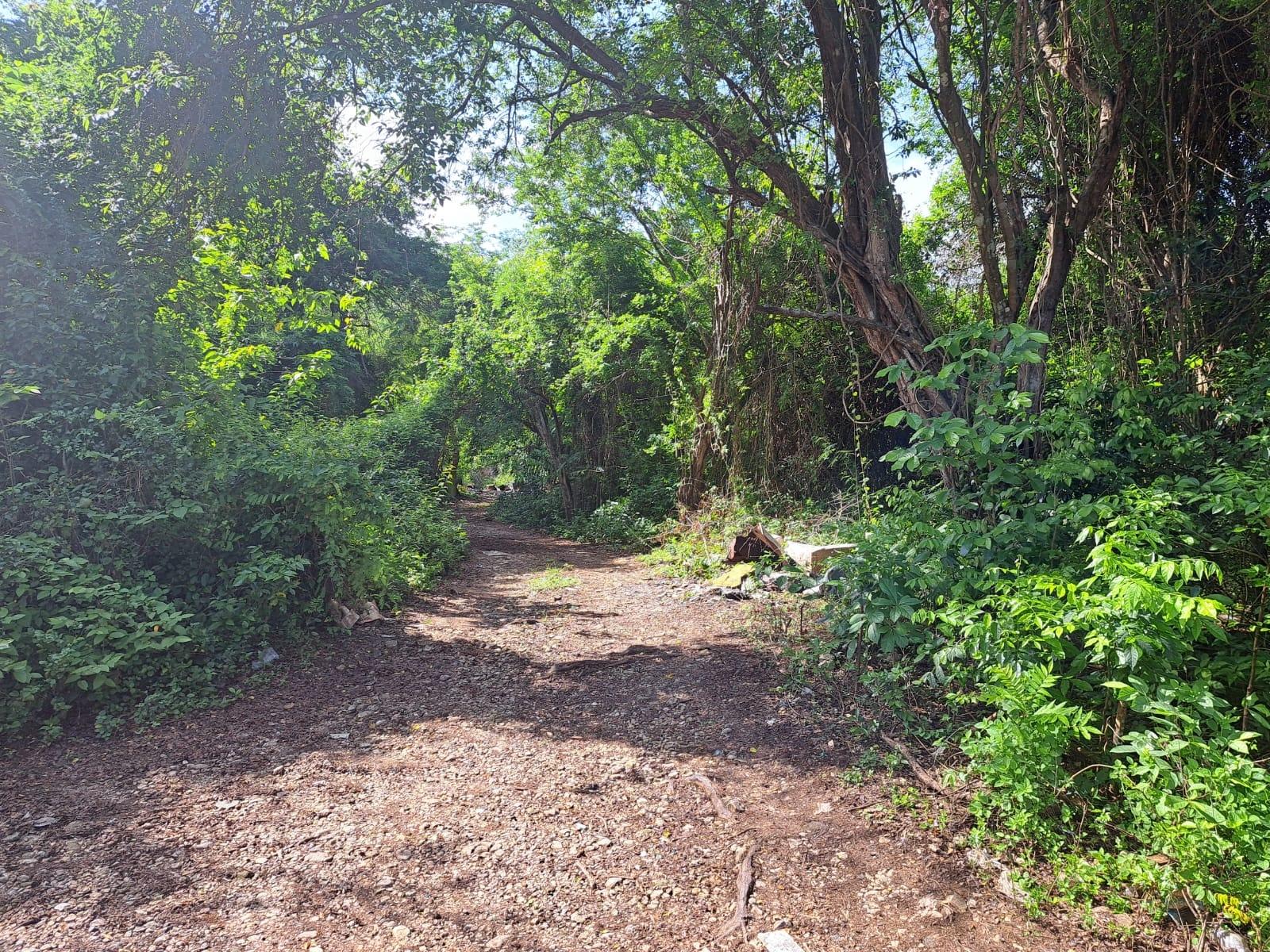 Fourth image of 46 Daniel Town in Daniel Town, Trelawny, Jamaica - property is For Sale