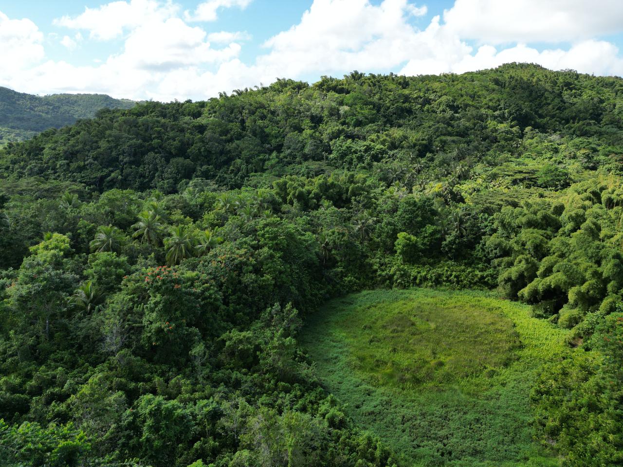 Second image of Lot 43- Crawle Estate, St. Mary in Kilancholly, St. Mary, Jamaica - property is For Sale