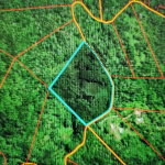 First image of Lot 43- Crawle Estate, St. Mary in Kilancholly, St. Mary, Jamaica - property is For Sale