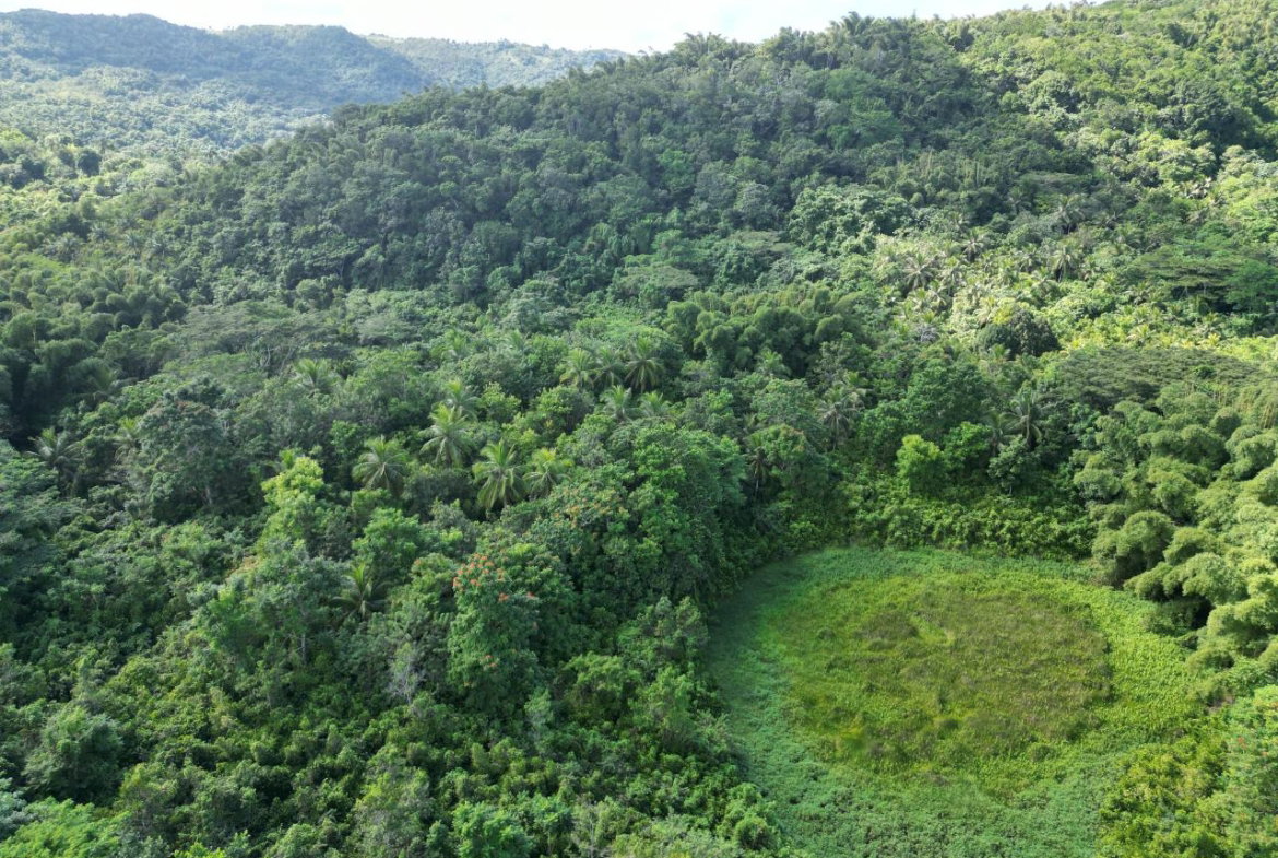 Third image of Lot 43- Crawle Estate, St. Mary in Kilancholly, St. Mary, Jamaica - property is For Sale