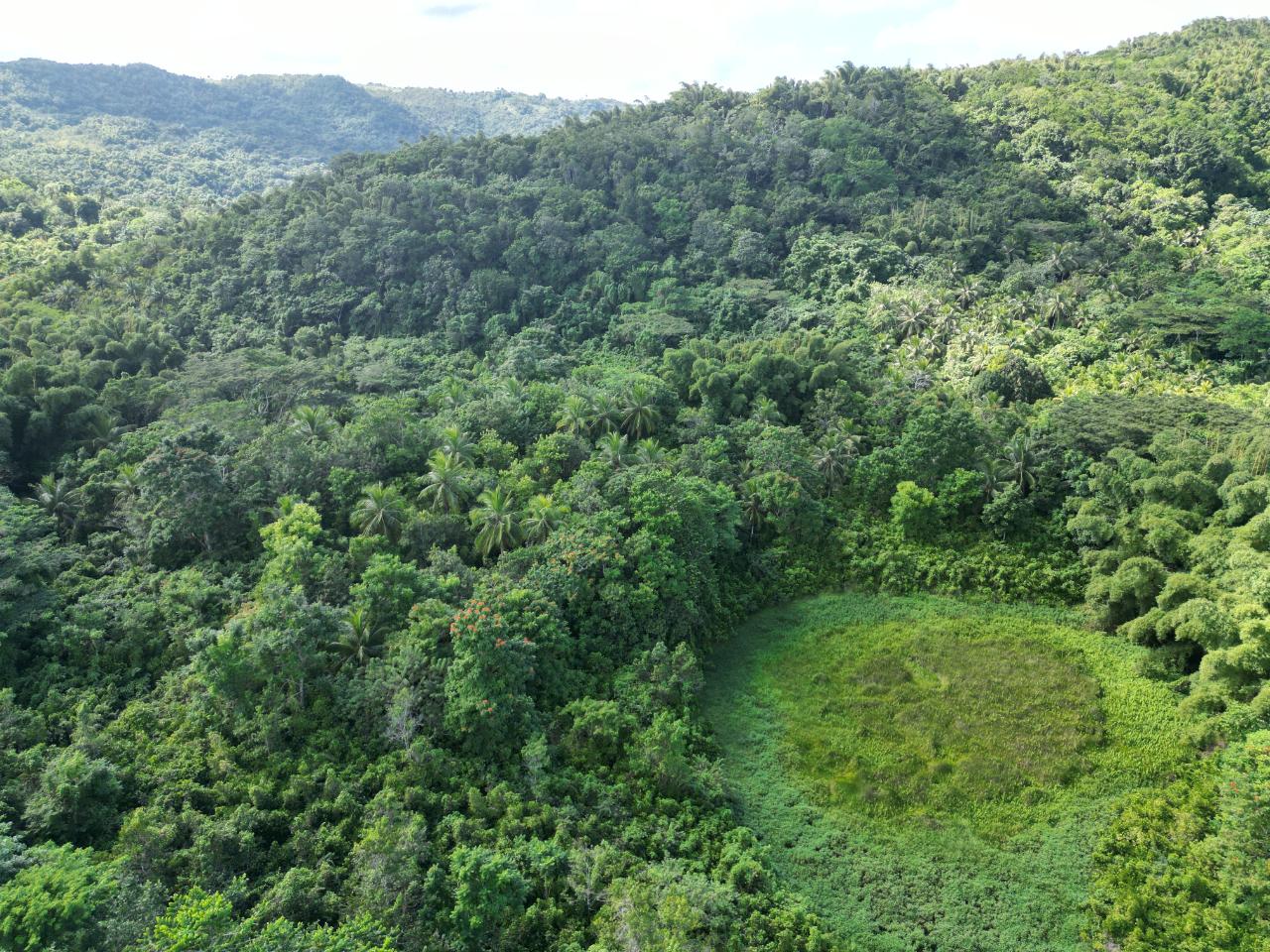 Third image of Lot 43- Crawle Estate, St. Mary in Kilancholly, St. Mary, Jamaica - property is For Sale