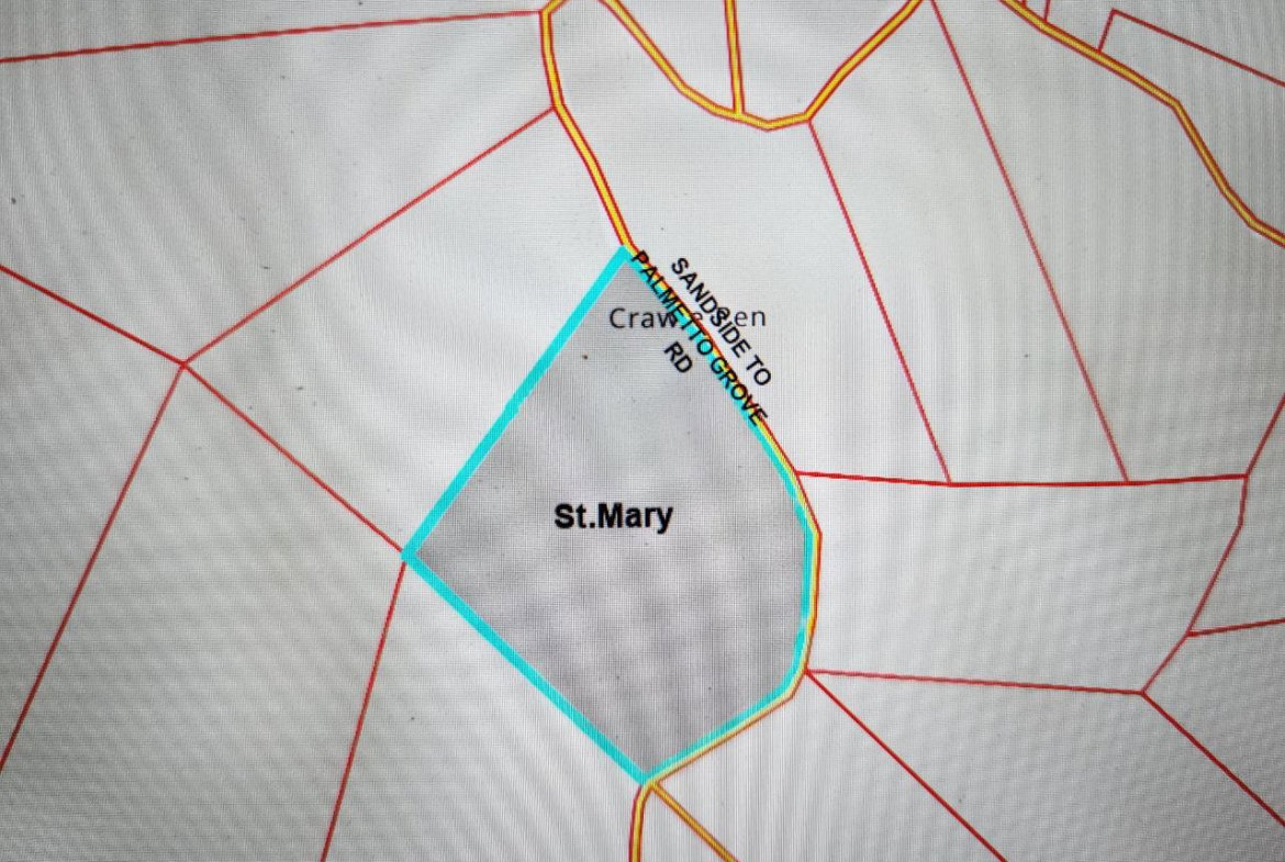 Fourth image of Lot 43- Crawle Estate, St. Mary in Kilancholly, St. Mary, Jamaica - property is For Sale