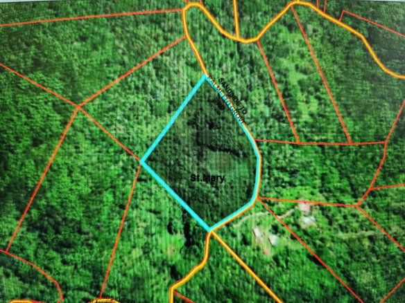 First image of Lot 43- Crawle Estate, St. Mary in Kilancholly, St. Mary, Jamaica - property is For Sale