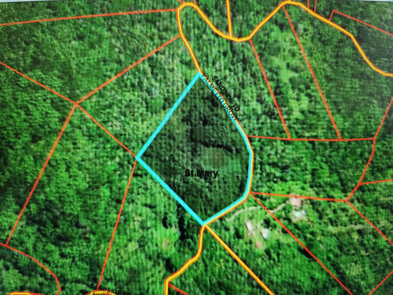 First image of Lot 43- Crawle Estate, St. Mary in Kilancholly, St. Mary, Jamaica - property is For Sale