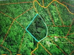 First image of Lot 43- Crawle Estate, St. Mary in Kilancholly, St. Mary, Jamaica - property is For Sale