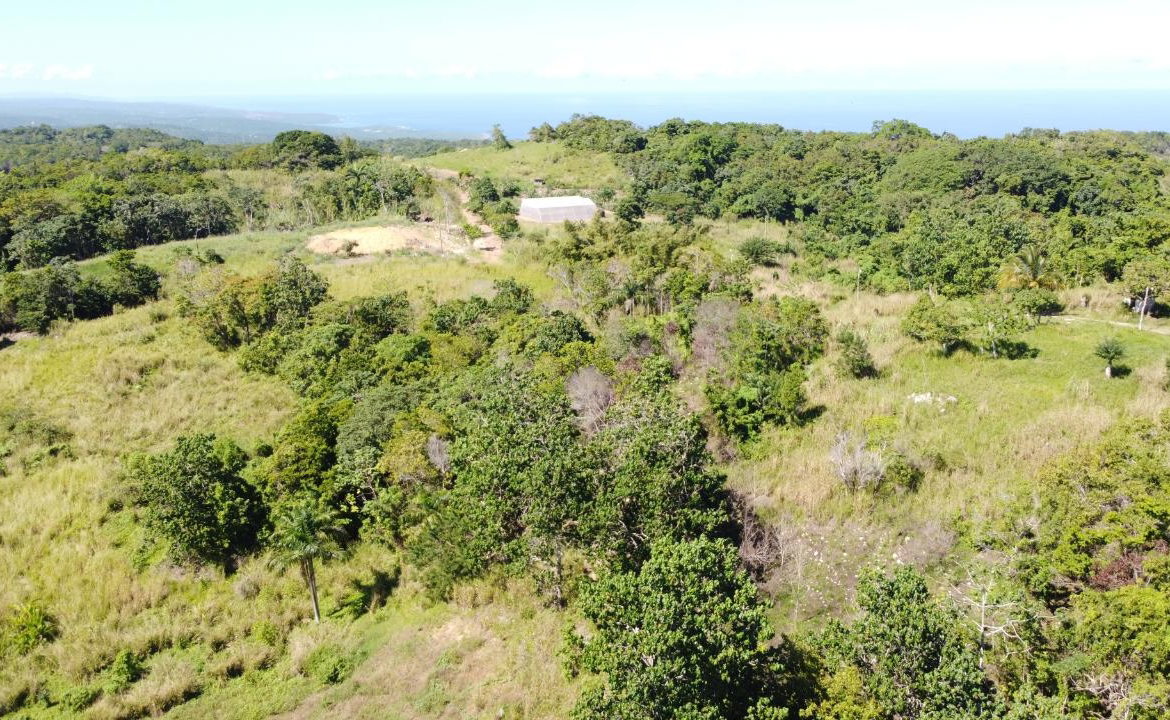 Eleventh image of Southfield in Runaway Bay, St. Ann, Jamaica - property is For Sale