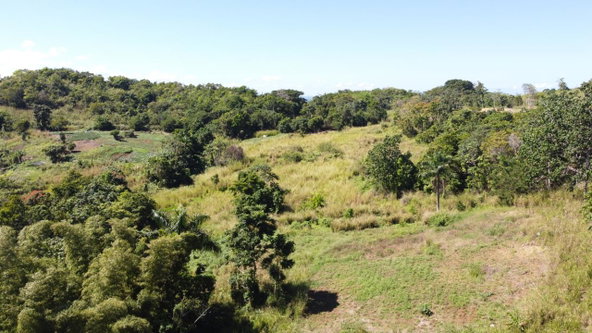 Fourteenth image of Southfield in Runaway Bay, St. Ann, Jamaica - property is For Sale