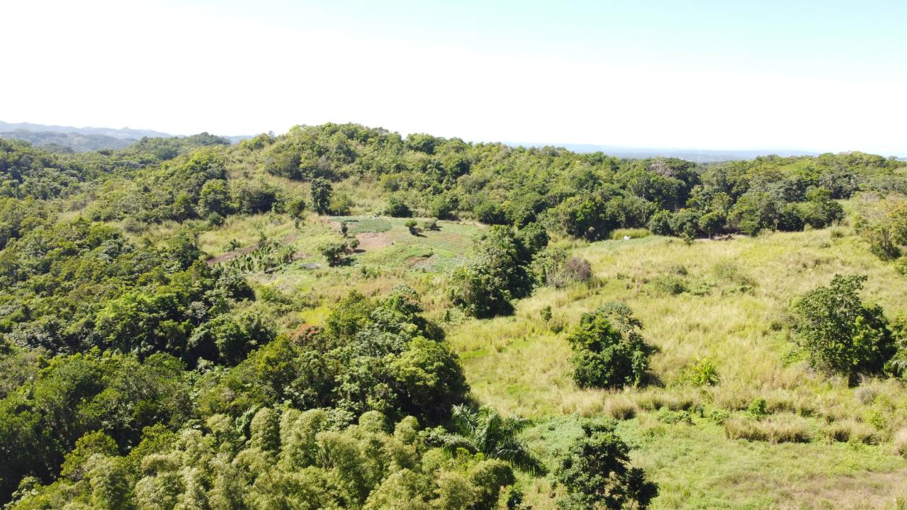 Twenty-Eighth image of Southfield in Runaway Bay, St. Ann, Jamaica - property is For Sale