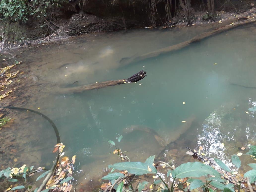 Twenty-Ninth image of Southfield in Runaway Bay, St. Ann, Jamaica - property is For Sale