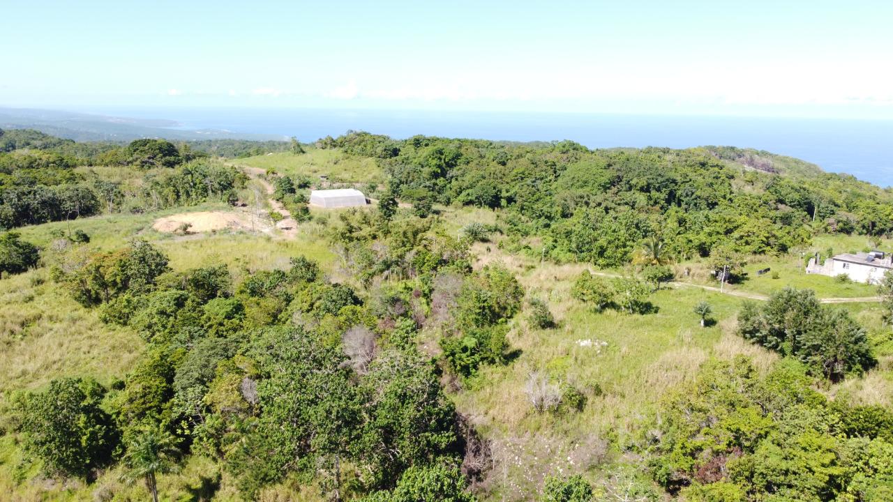 Eighth image of Southfield in Runaway Bay, St. Ann, Jamaica - property is For Sale